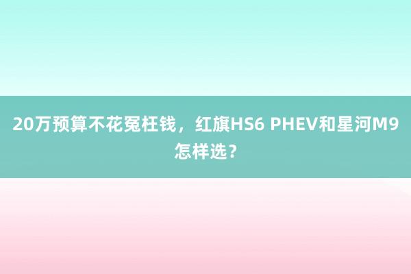 20万预算不花冤枉钱，红旗HS6 PHEV和星河M9怎样选？